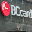 비씨유통 이미지