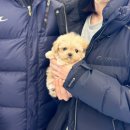 좋은인연 | 아이러브독대구점 후기 좋은 곳 소중한인연에 감사