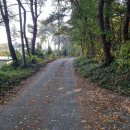 검암산(정상) 이미지