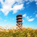 갯골생태공원 이미지