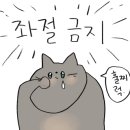 금상성 이미지