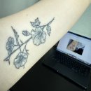 (주)진성상사 | 혼돈의 카오스, 2월