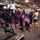 고릴라짐 이미지