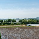 전망대누룽지백숙 이미지