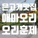 엄미길 | [경기광주/맛집] 은고개 애마오리 오리훈제 오리요리 맛집 내 돈 내산 후기입니다.