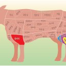 고기백과 이미지