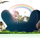 경희대 창덕 태권도 이미지