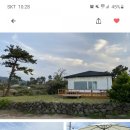 [휴가계획] 휴가계획들 세우셨나요? 저는 담주 제주도 계획입니다😆