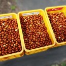 상 대안 농장 이미지