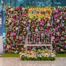 아트홀 베짱이 이미지