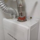 금빛크린 이미지