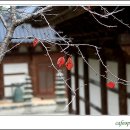 석양경로당 이미지