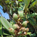 백야식당 이미지