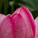 속초초등학교 이미지