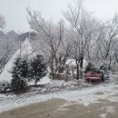 힐링캠프캠핑장 이미지