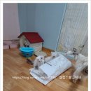 랙돌하우스 이미지