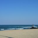 강문바다 이미지