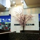 회한다라이 이미지