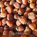 완주고등학교 이미지