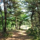 계룡산목장 이미지