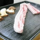 믿음식당 티스토리