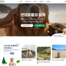 강생이랑 | 강생이랑 갱이랑 뭐길래? 경남 애견동반 여행이 편해진 이유