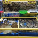 형제건어물 | 가락몰 24시간영업 형제수산 대게 시세 포장후기 가락시장횟집 추천