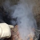 강원도집 이미지