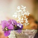 커피와 차의 오글오글한 이야기 35 이미지