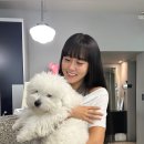 허가윤 카카오 검색결과