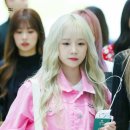 언니 이미지