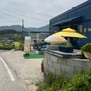 청산빵굽네달팽이카페