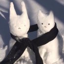 디스동물병원 이미지