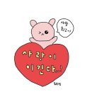 수투