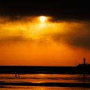 사람 그리고 새 이미지