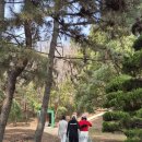 백운체력단련장 이미지