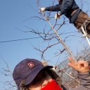 태송농장 이미지