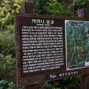바다숲 풀내음 이미지