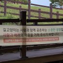 조군헤어 | 11. 나는 어디로 가고 있는가…