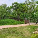 연천세계캠핑체험존2 이미지