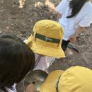 우리무지개어린이집 이미지