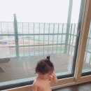 더드림 하우스 펜션 이미지