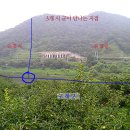 섬진강종주2 이미지