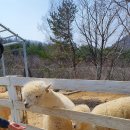 명수목장 이미지