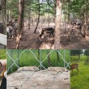 황가농장 이미지