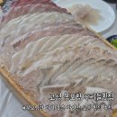 우리들은 | [고성] 봉포항 자연산 횟집 우리들횟집 아이와 내돈내산 재방문 후기
