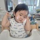 뱃속채움 | 임신 극초기 예민한 피부 관리, 맘가이드 A등급 임산부 최적 선크림 바른채움 솔직후기