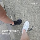 강두부 이미지