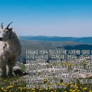 7월 14일(목) 새 언약 안에서 피로 얻은 생명!(히브리서 9:11-22) 이미지