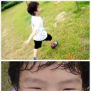 동욱농장 이미지